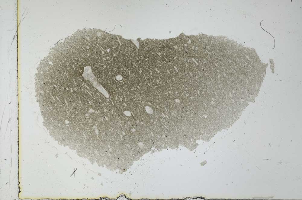 Plane Polarized, S27536