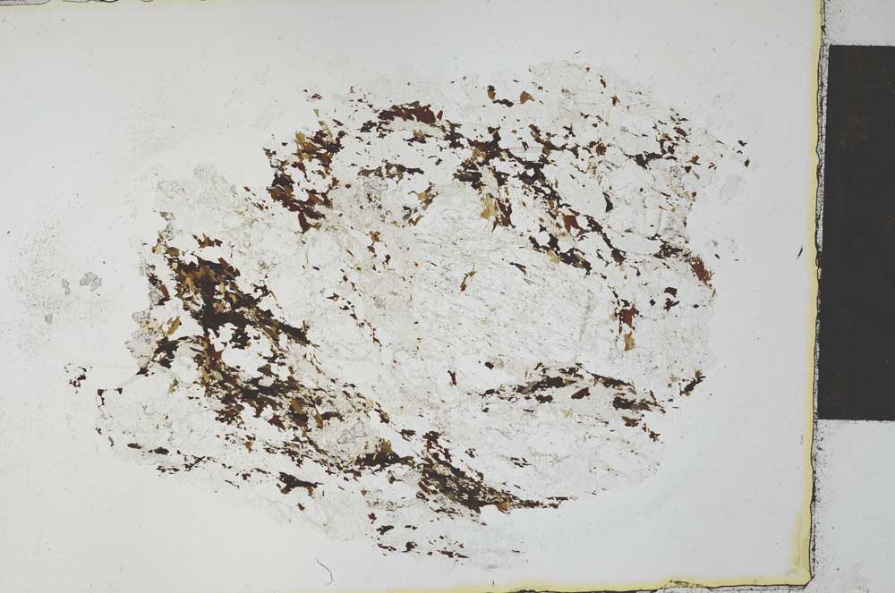 Plane Polarized, S27544