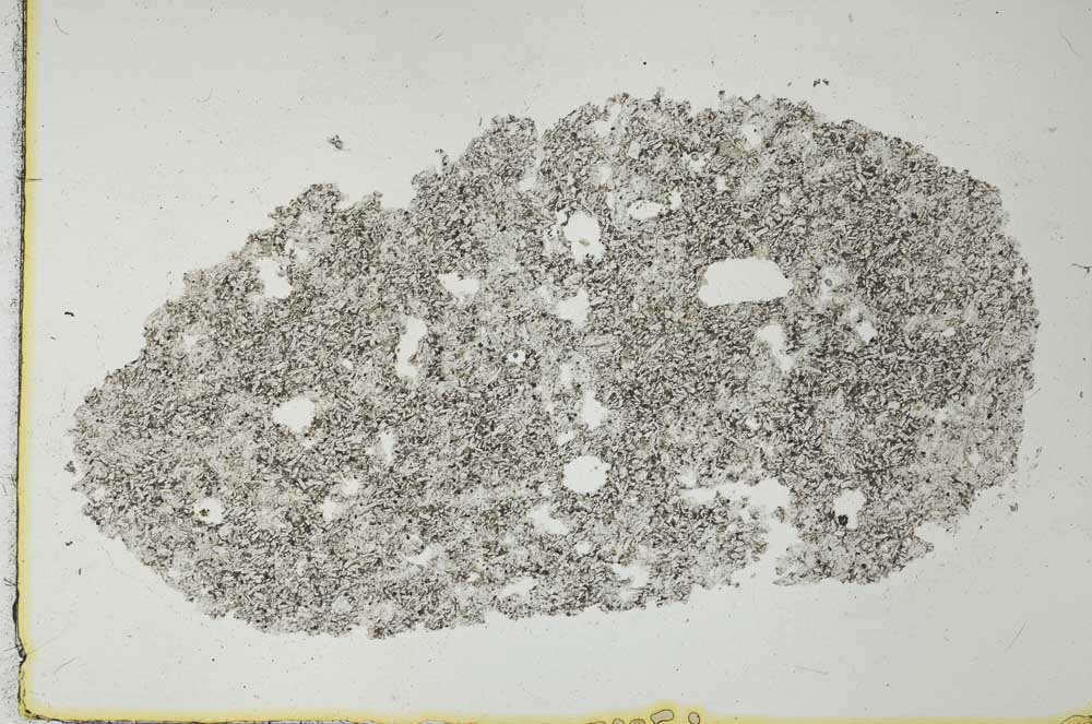 Plane Polarized, S27553