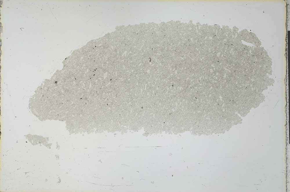 Plane Polarized, S27587