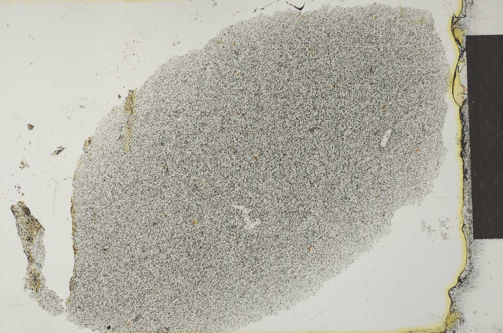 Plane Polarized, S27663