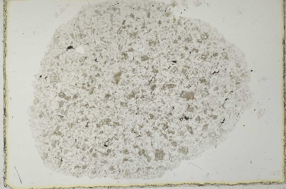 Plane Polarized, S27679