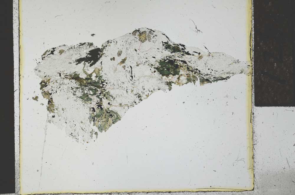 Plane Polarized, S27698