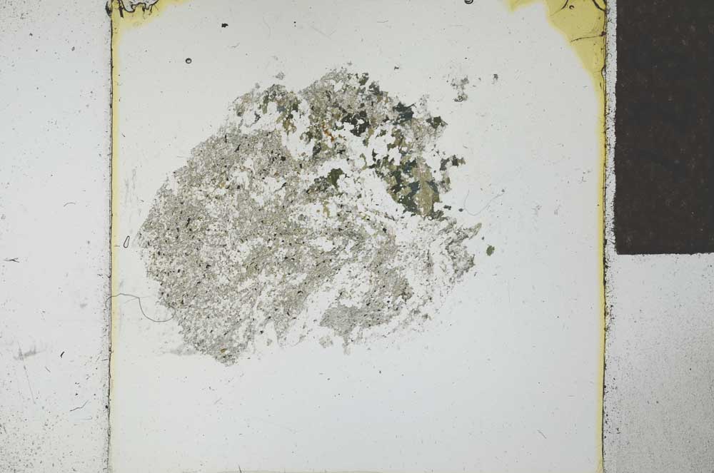 Plane Polarized, S27702