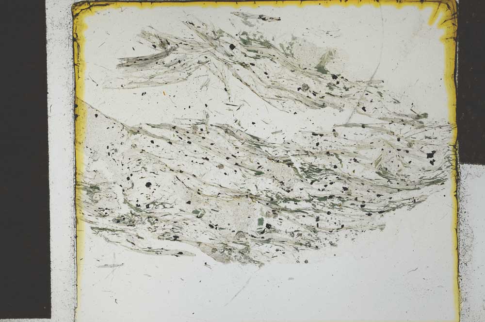 Plane Polarized, S27710