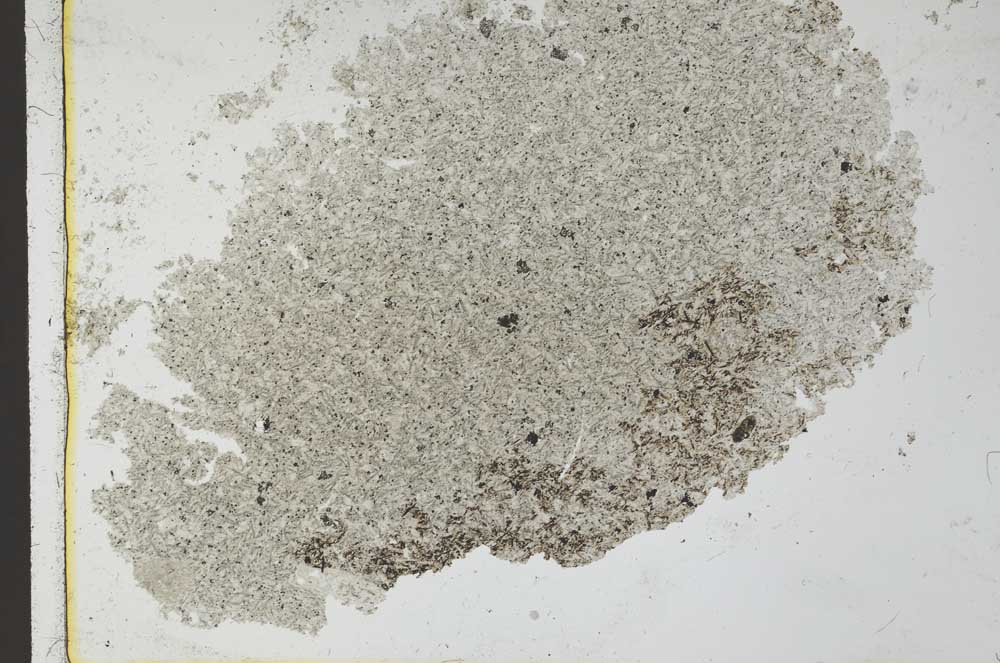 Plane Polarized, S27713