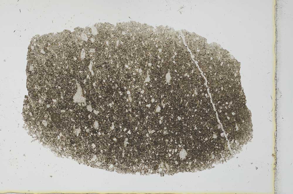 Plane Polarized, S27719