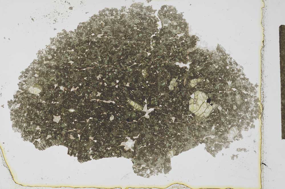 Plane Polarized, S27728
