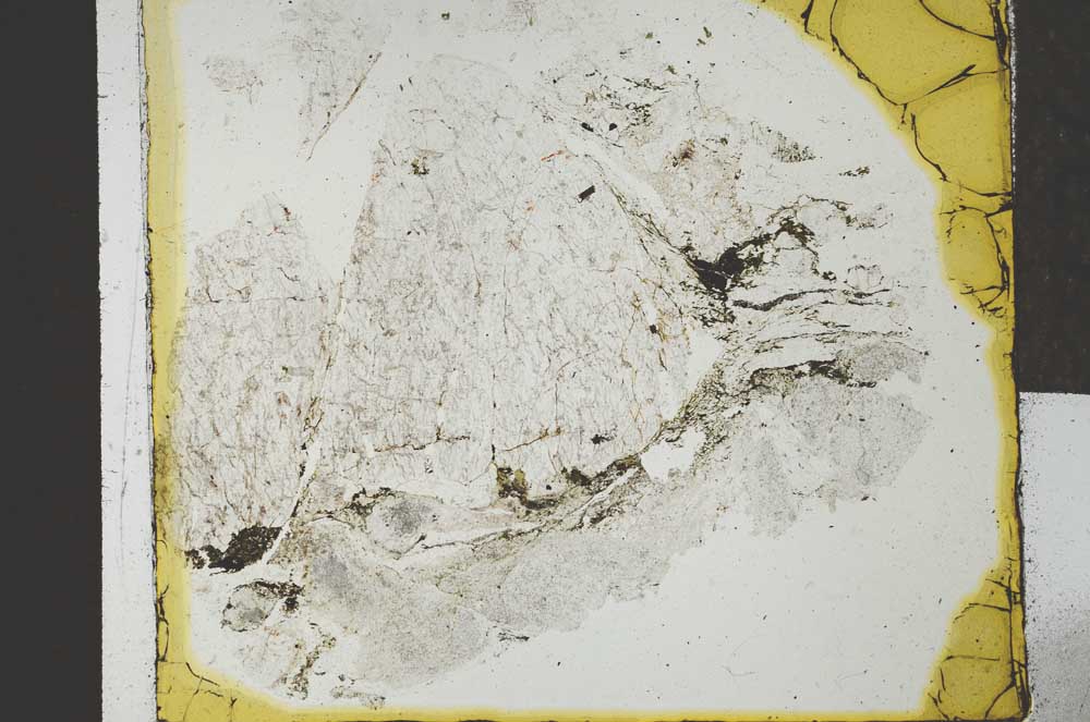 Plane Polarized, S27738