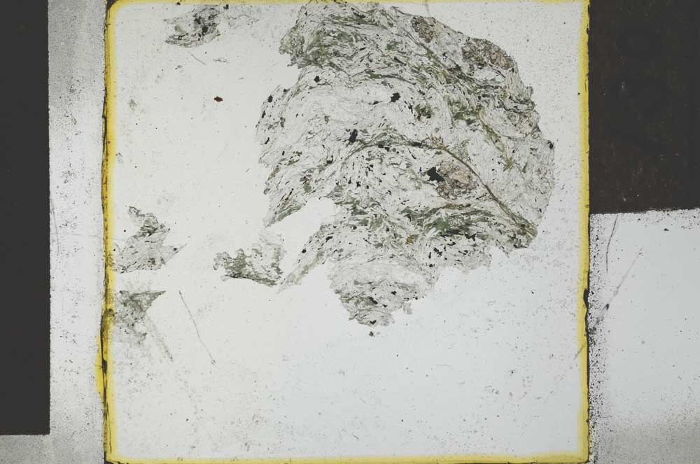 Plane Polarized, S27749