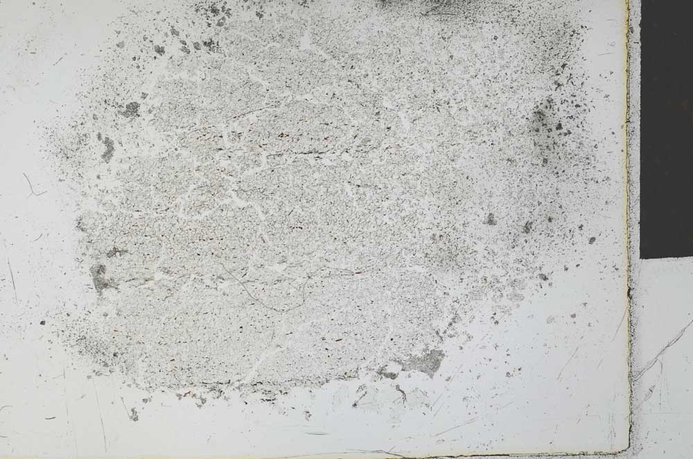 Plane Polarized, S27752