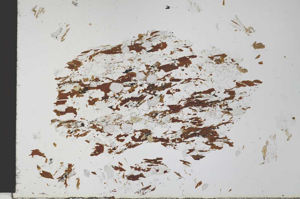 Plane Polarized, S27815