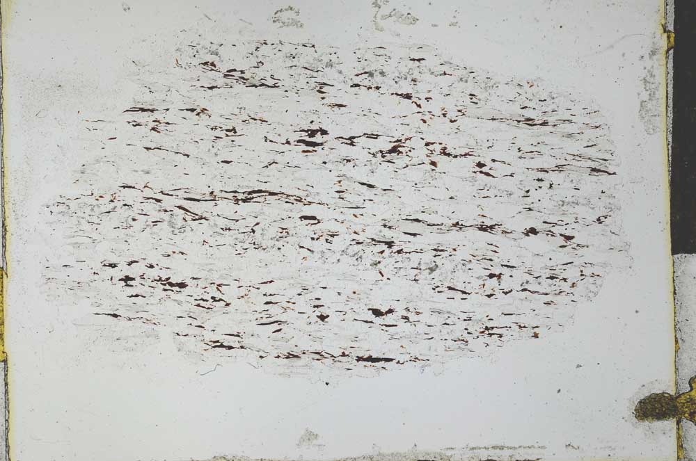 Plane Polarized, S27818