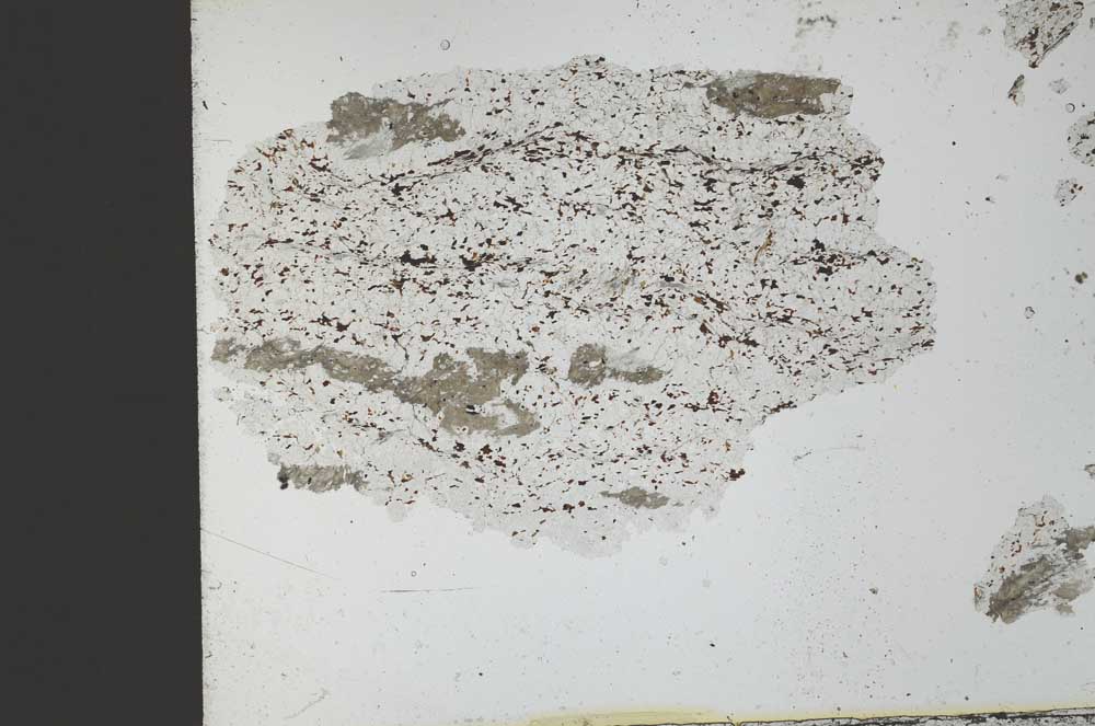 Plane Polarized, S27819