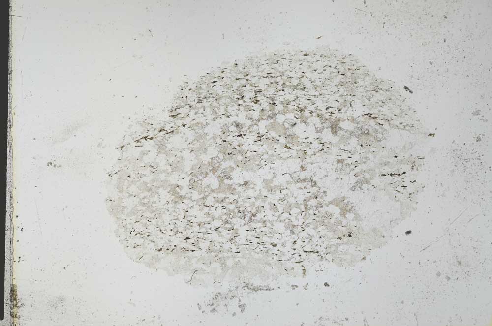 Plane Polarized, S27829