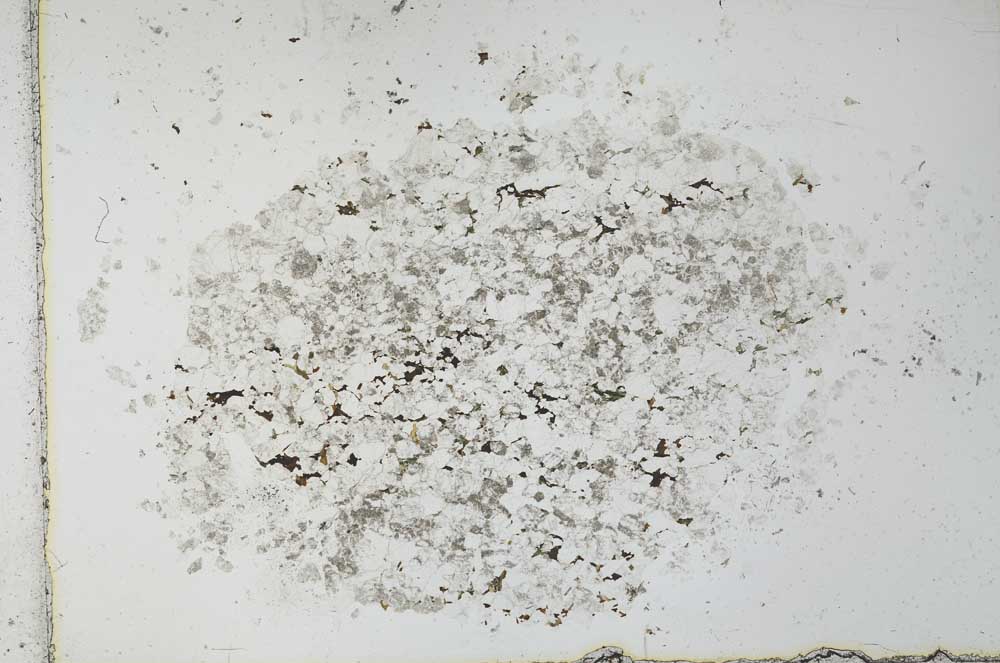 Plane Polarized, S27832