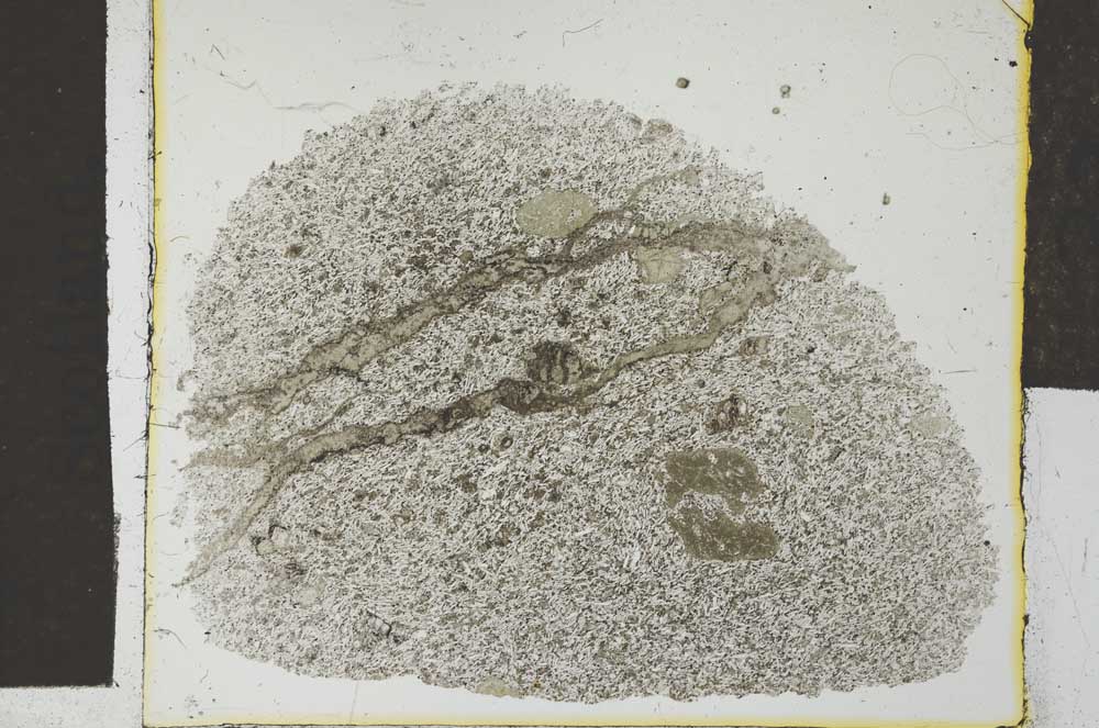 Plane Polarized, S27835