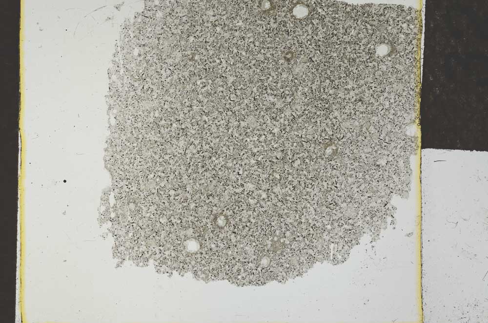 Plane Polarized, S27836