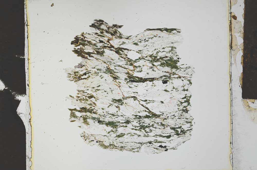 Plane Polarized, S27850