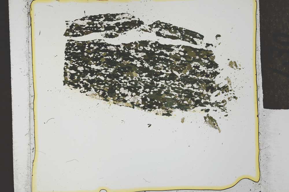 Plane Polarized, S27852