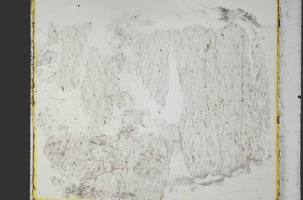 Plane Polarized, S27859