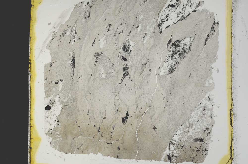 Plane Polarized, S27860