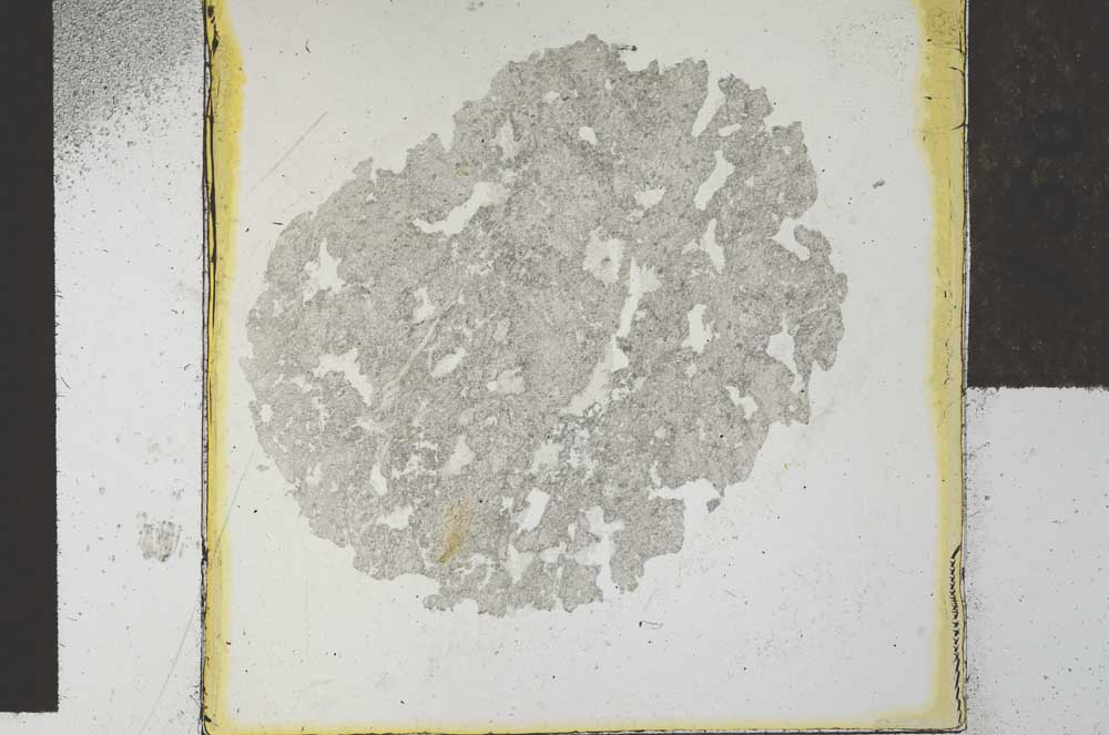 Plane Polarized, S27865