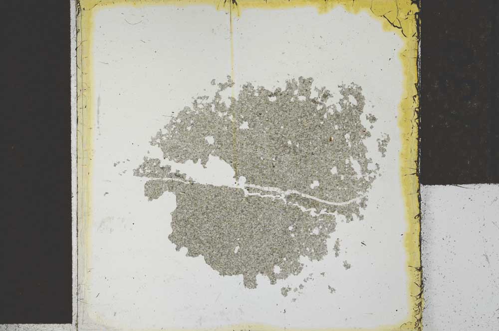 Plane Polarized, S27867