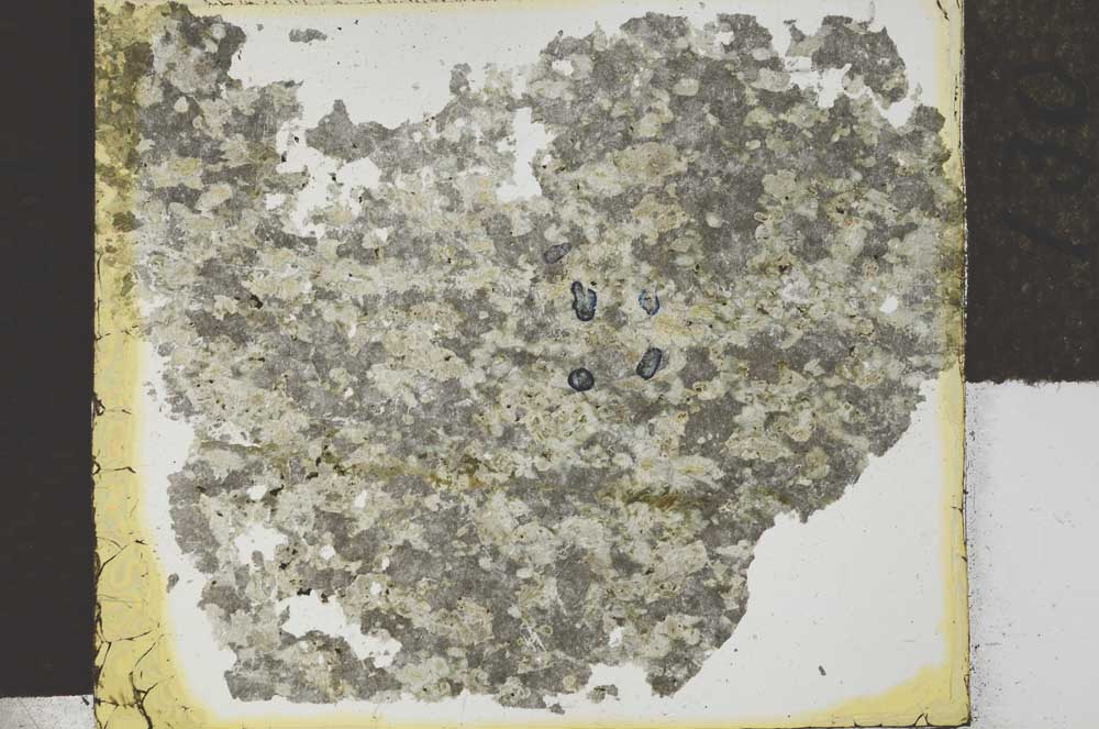 Plane Polarized, S27868