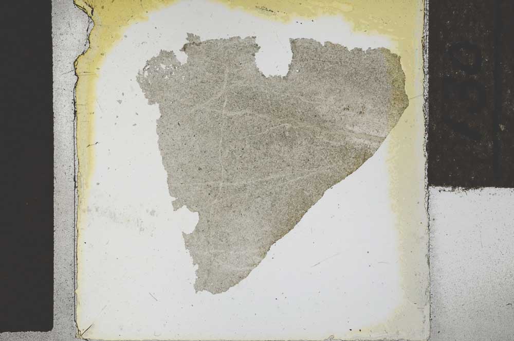 Plane Polarized, S27869