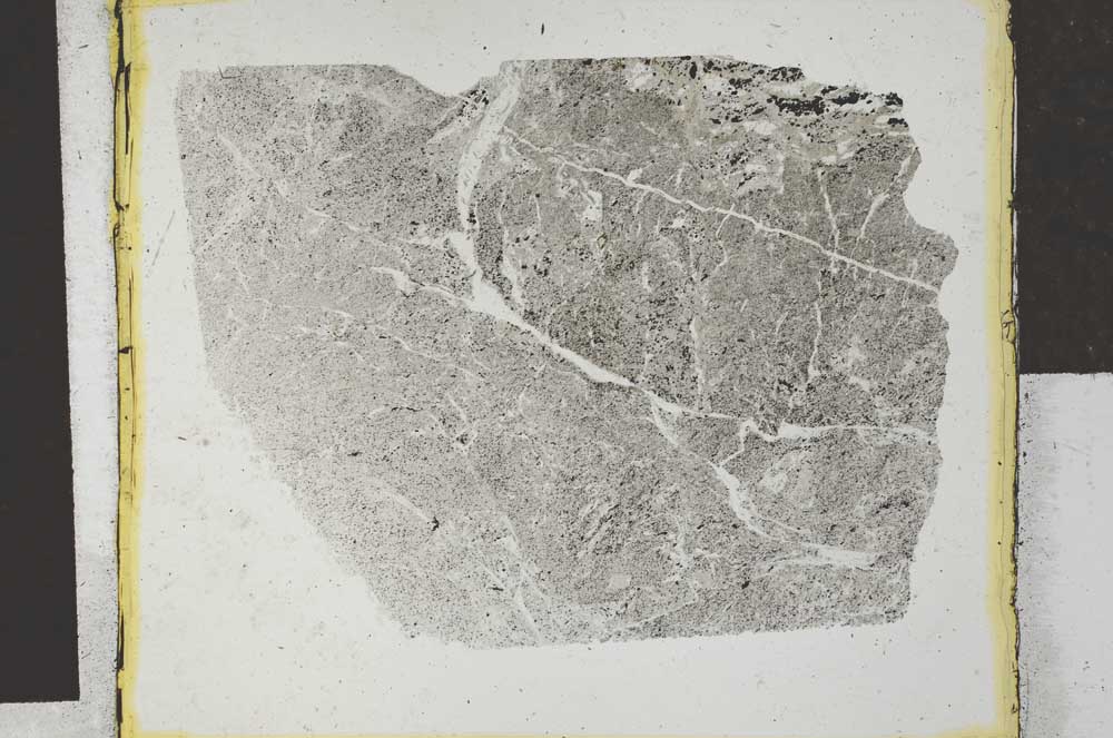 Plane Polarized, S27870