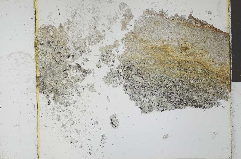 Plane Polarized, S27874