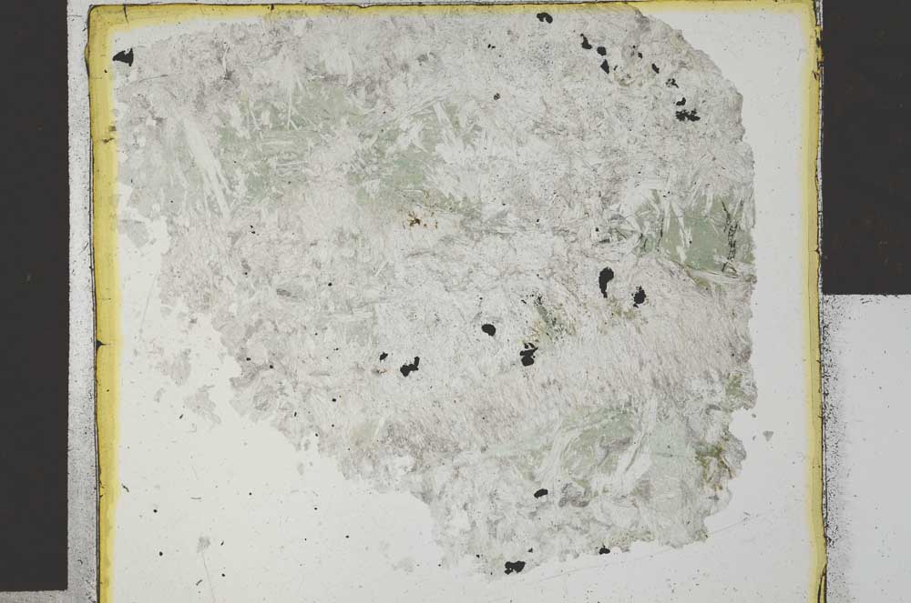 Plane Polarized, S27876