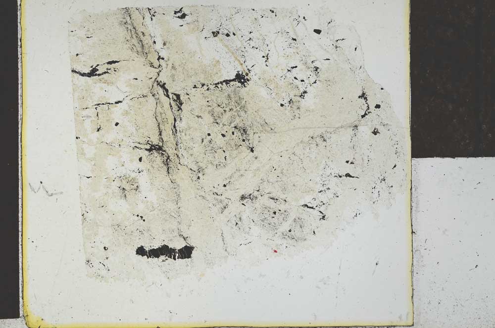 Plane Polarized, S27878