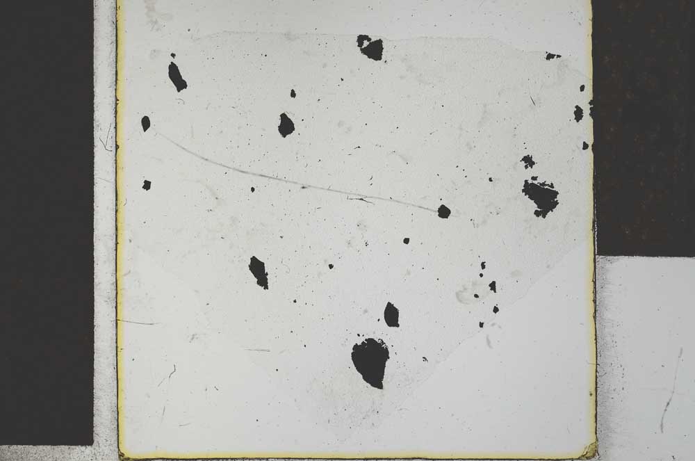 Plane Polarized, S27884