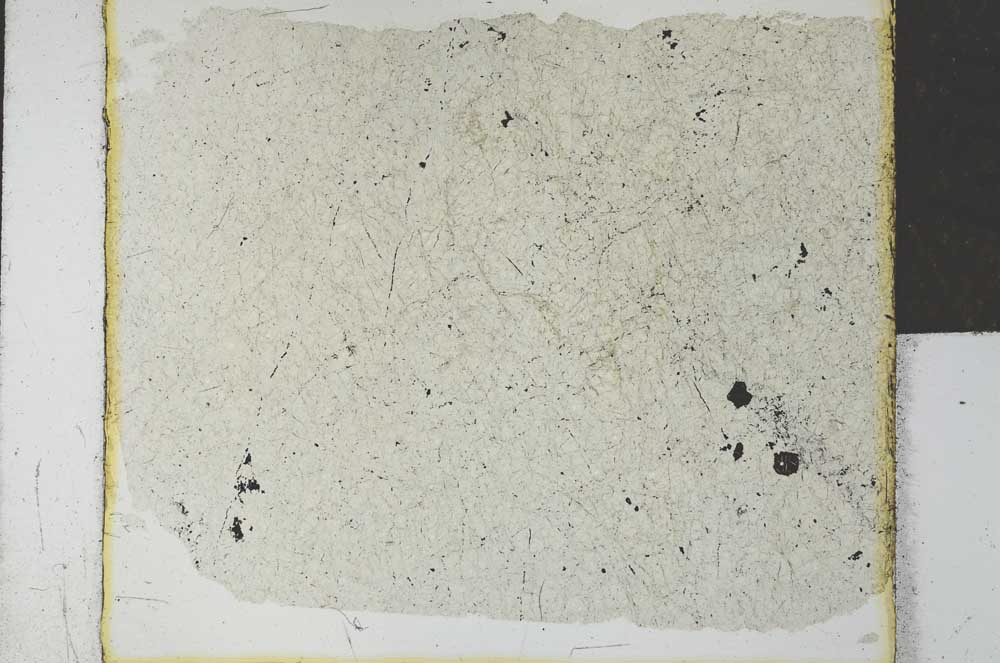 Plane Polarized, S27885