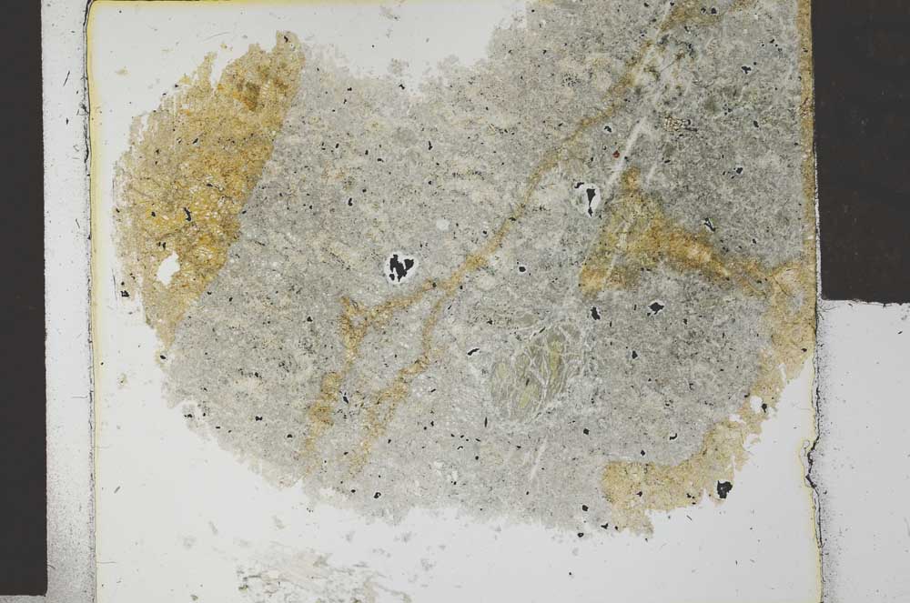 Plane Polarized, S27888