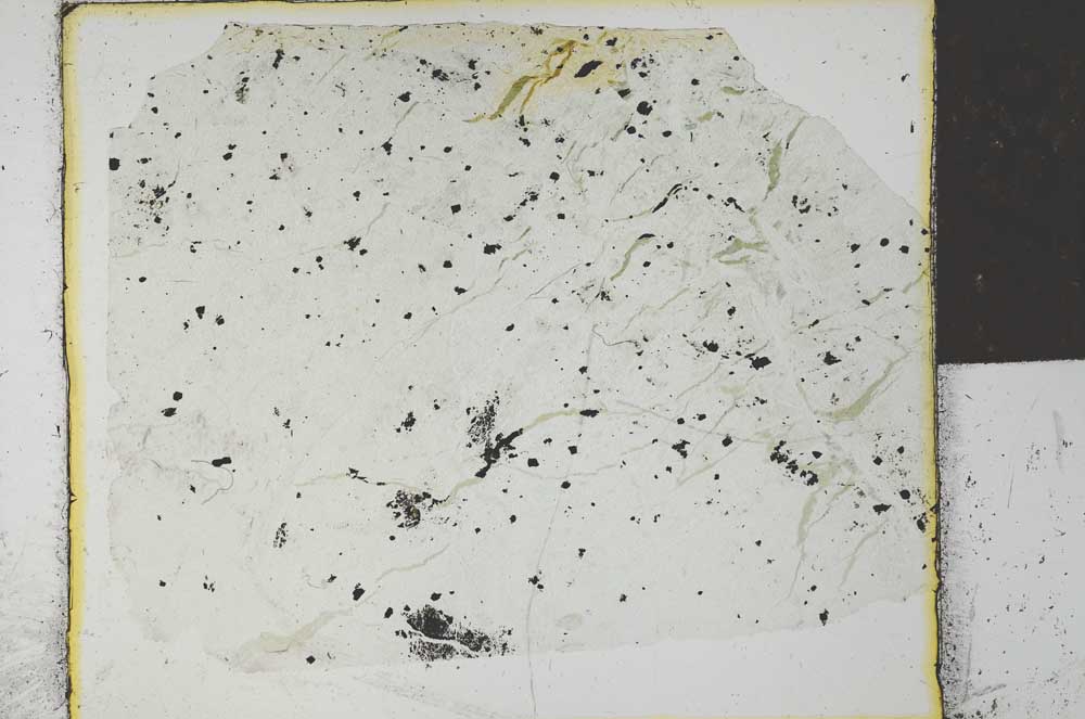 Plane Polarized, S27890