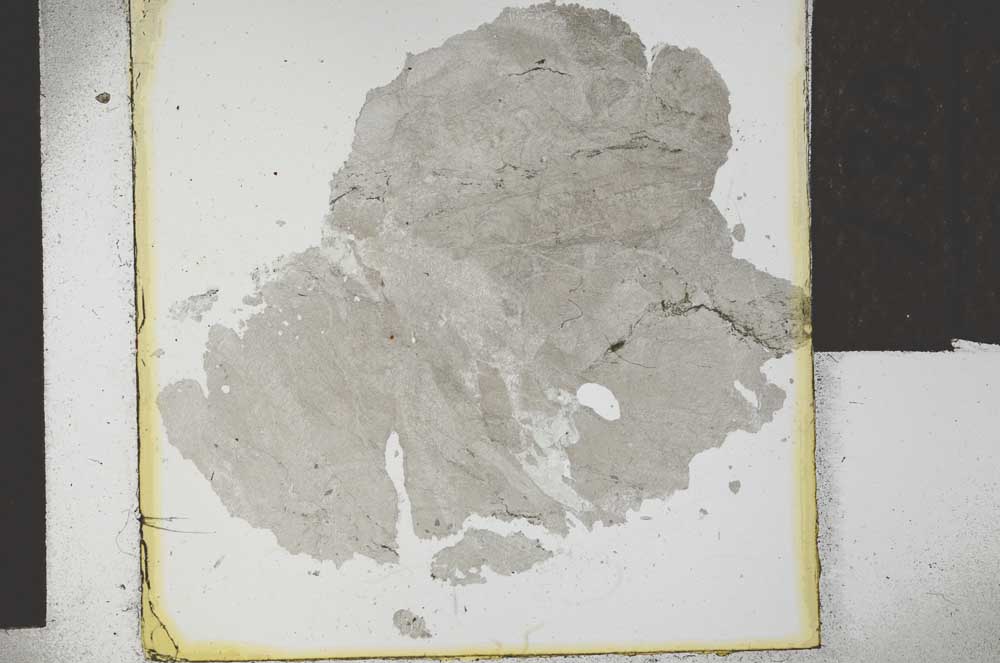 Plane Polarized, S27891