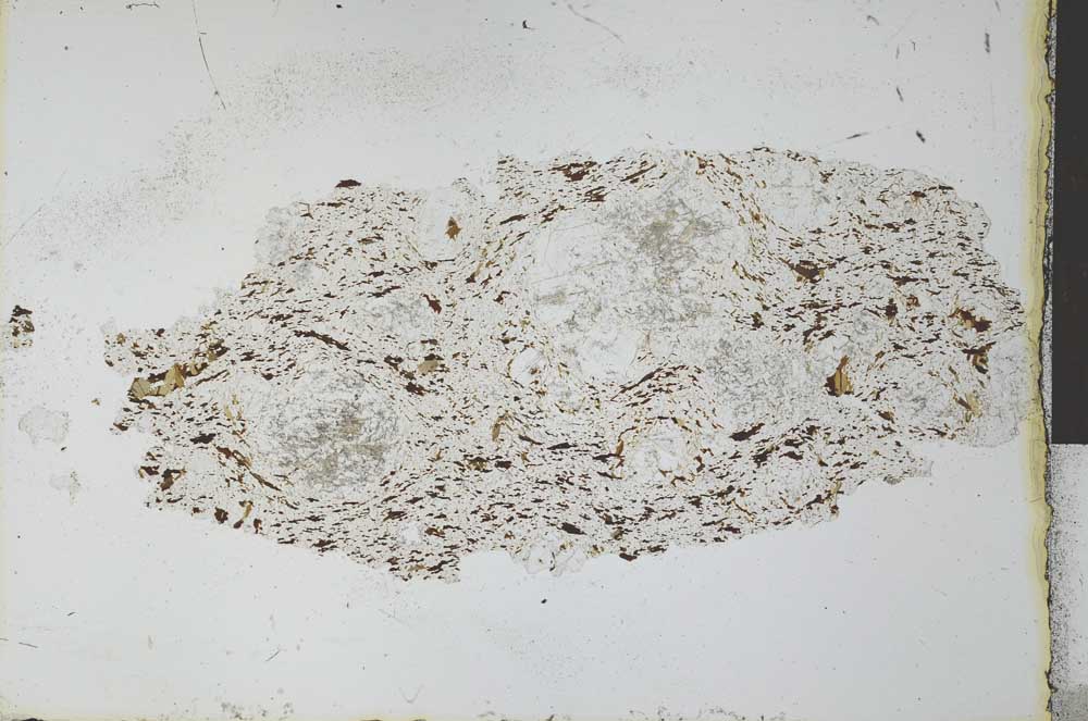 Plane Polarized, S27905