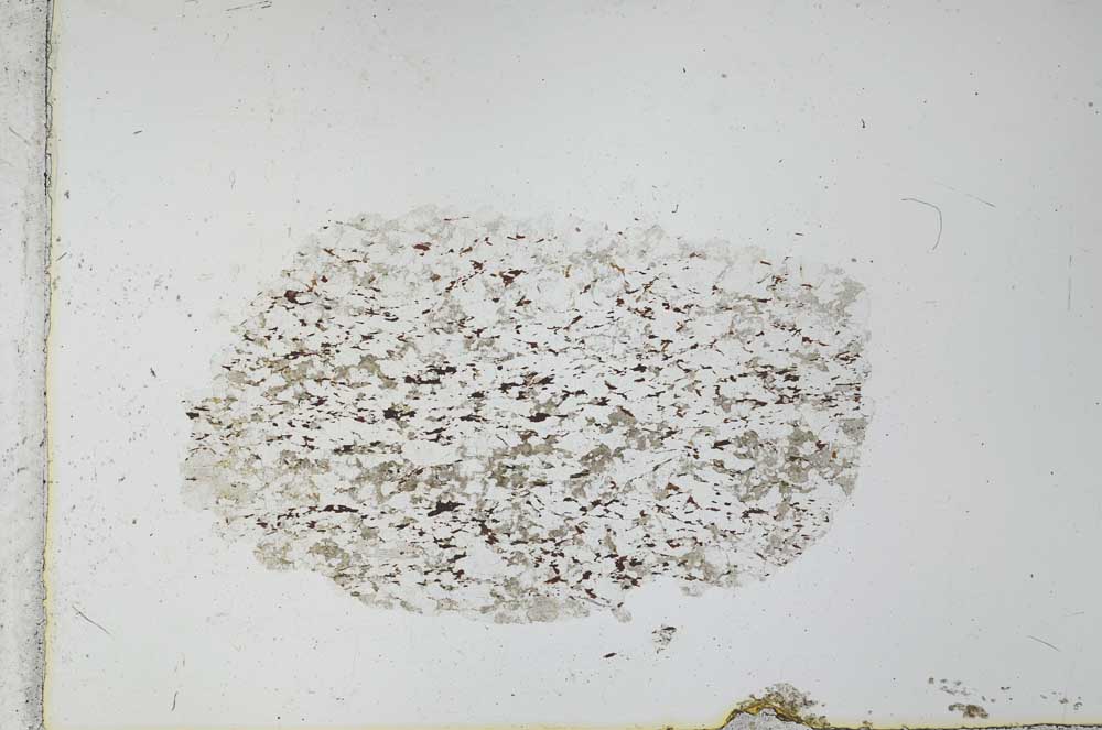 Plane Polarized, S27914