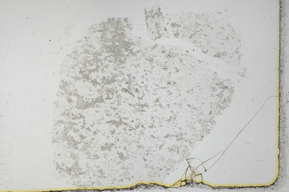 Plane Polarized, S27922