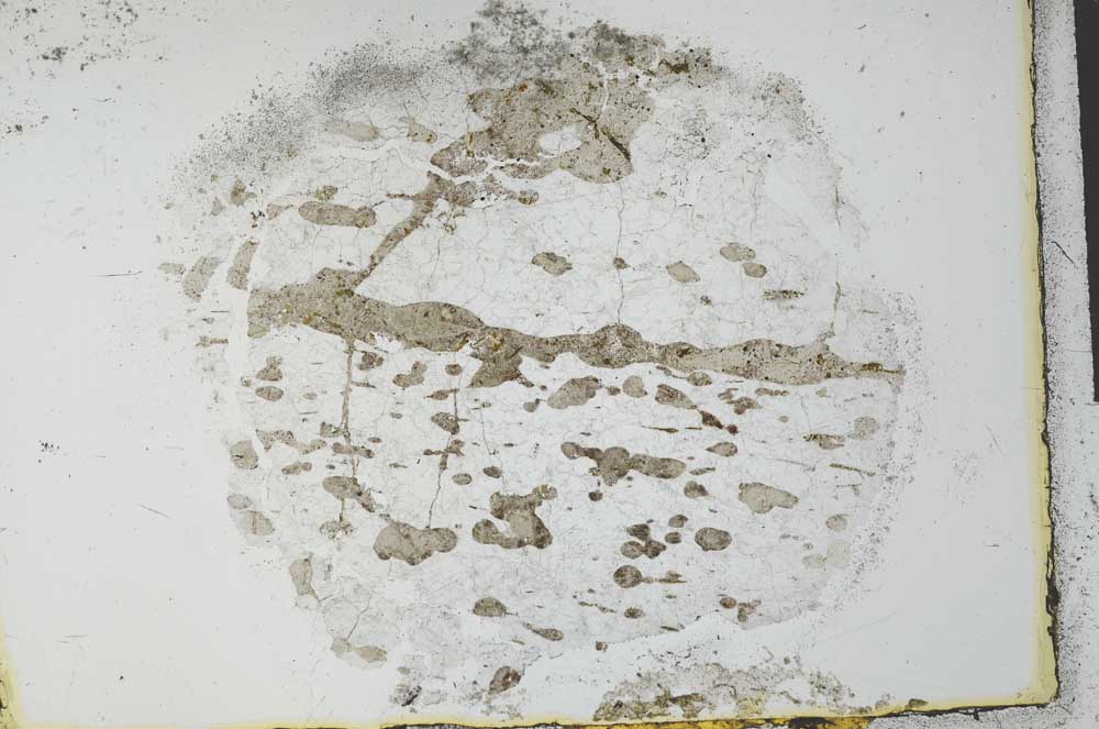 Plane Polarized, S27926