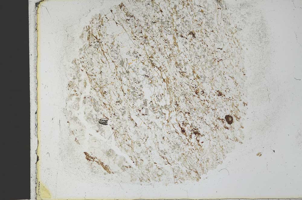 Plane Polarized, S27929