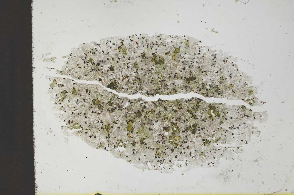 Plane Polarized, S27957