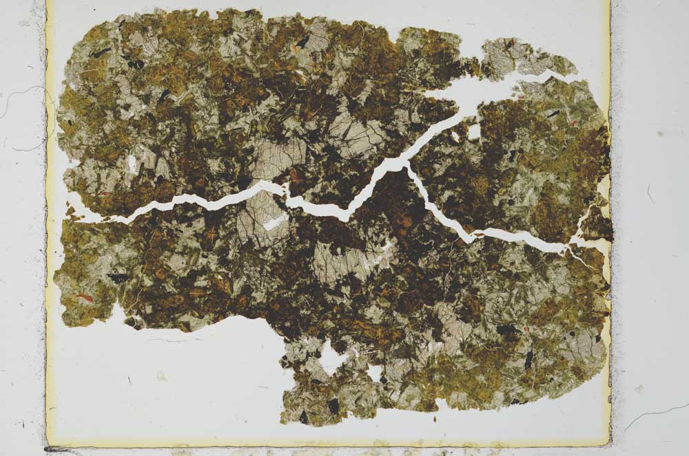 Plane Polarized, S27979