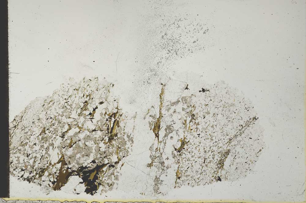 Plane Polarized, S28038