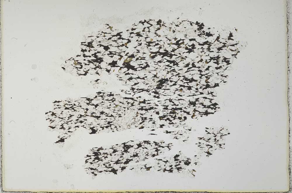 Plane Polarized, S28082