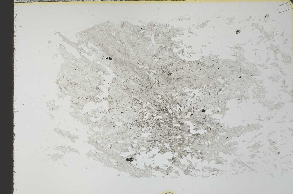 Plane Polarized, S28129