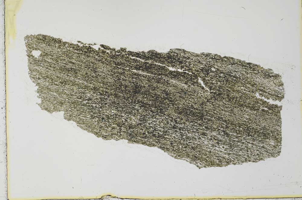 Plane Polarized, S28165